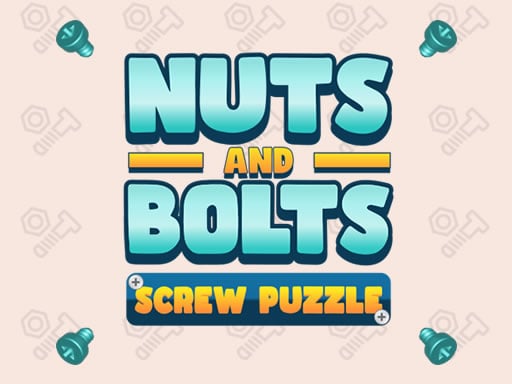 Nuts and Bolts Screw Puzzle